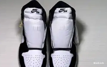 CD0461-007 1 WHITE PANDA JORDAN AIR BLACK 0427